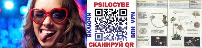 Галлюциногенные грибы прущие грибы  купить наркотики цена  Ярцево 